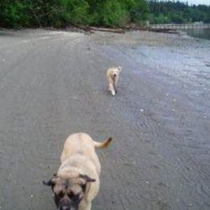 Meet your Posher, Deborah